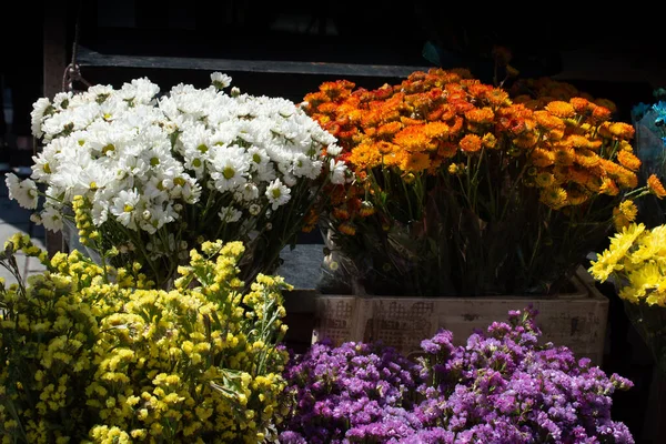 Flores Naturais Coloridas Bonitas Florescendo Como Fundo Floral — Fotografia de Stock