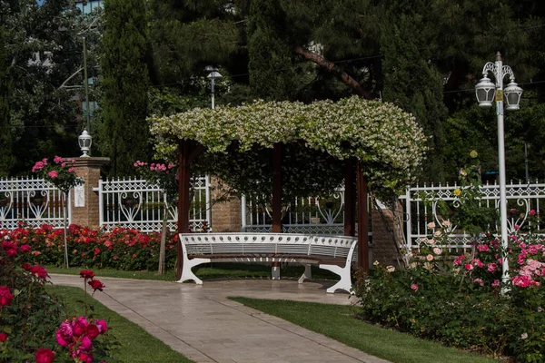 Banco Madeira Encontrado Meio Jardim Rosas — Fotografia de Stock