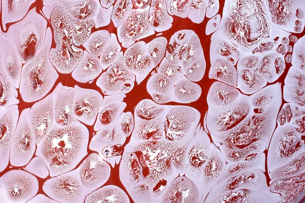 Ebruは手作りの芸術 伝統的なEbru技術を驚嘆させます 大理石の液体インクアートの抽象的な背景 — ストック写真