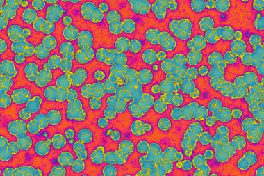 Sahte mikroorganizmalar. mikrobiyoloji. Bakteriler, hücreler, virüsler, mikroorganizmalar.