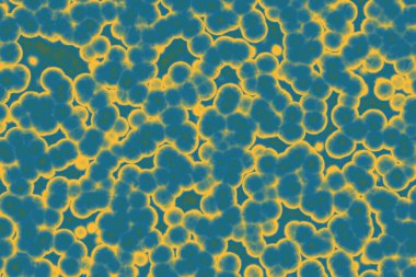 Sahte mikroorganizmalar. mikrobiyoloji. Bakteriler, hücreler, virüsler, mikroorganizmalar.