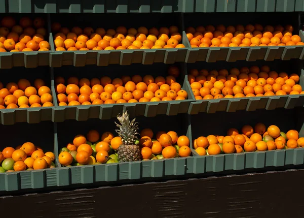보기에 오렌지의 신선한 과일의 — 스톡 사진