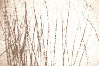 Soyut arkaplanın duvar yüzeyi boyalı dokusu