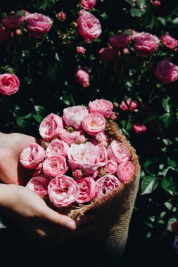 Elindeki güzel taze güller