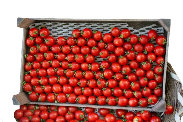 Fresh Organic Tomatoes Case White Background Ripe Red Tomato — стоковое фото