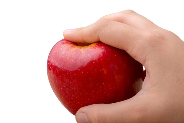 Zbiory Jabłek Jesienna Koncepcja Świeże Jabłko Dłoni — Zdjęcie stockowe
