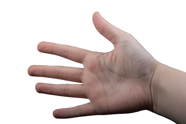 Mulher Mão Isolada Fundo Branco Mostrando Gestos Mão — Fotografia de Stock