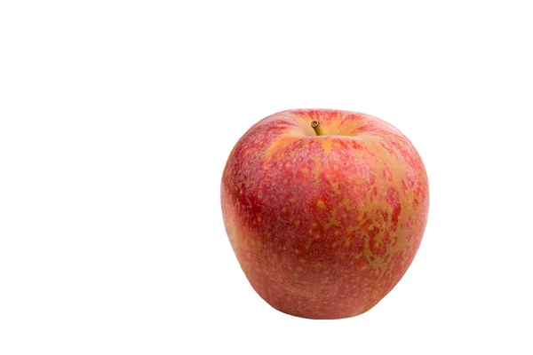 Äppelskörd Höstkoncept Färskt Äpple — Stockfoto
