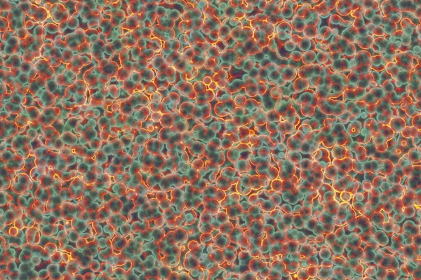 Форма Бактеріальної Клітини Фон Коксі Бактерії Бактерії Спіралі — стокове фото