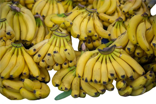 Fructe Banane Aproape Model Fructe Tropicale Banane Izolate — Fotografie, imagine de stoc