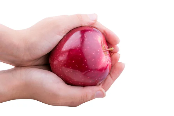 Apfelernte Herbstkonzept Frischer Apfel Der Hand — Stockfoto