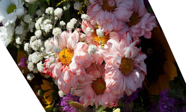 Flores Primavera Florescendo Para Conceito Jardinagem — Fotografia de Stock