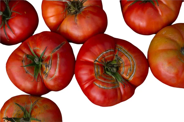 Tomates Orgânicos Frescos Sobre Fundo Branco Tomate Vermelho Maduro — Fotografia de Stock