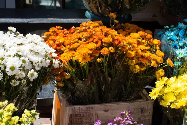 Blommande Vackra Färgglada Naturliga Blommor Som Blommig Bakgrund — Stockfoto