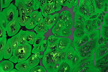 Ebru mermer el yapımı sanat, geleneksel Ebru tekniği. mermer sıvı mürekkep sanatının soyut arkaplanı