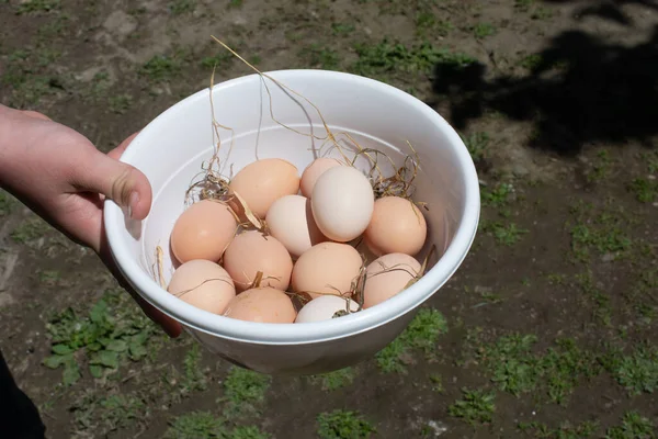 배경에 바구니에 바구니에 닭고기 — 스톡 사진