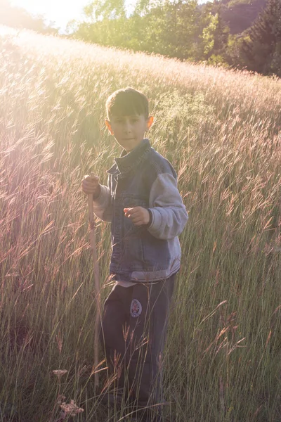 Little Boy Hiking Nature — Foto de Stock