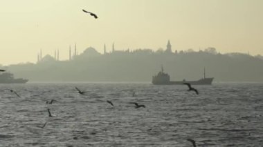 İstanbul, Türkiye 'nin martılar, gemiler ve şehir manzarası