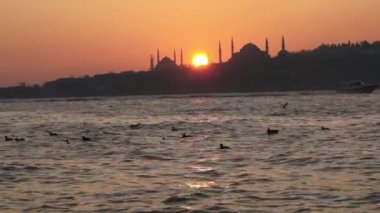 Camiler ve deniz kuşları, İstanbul gün batımı
