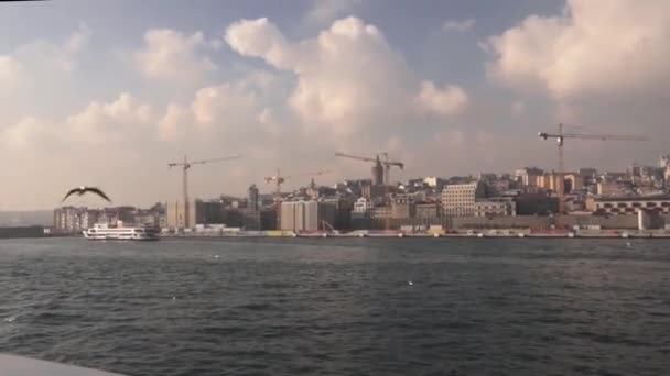 Gaviotas Paisaje Urbano Estambul Turquía — Vídeo de stock