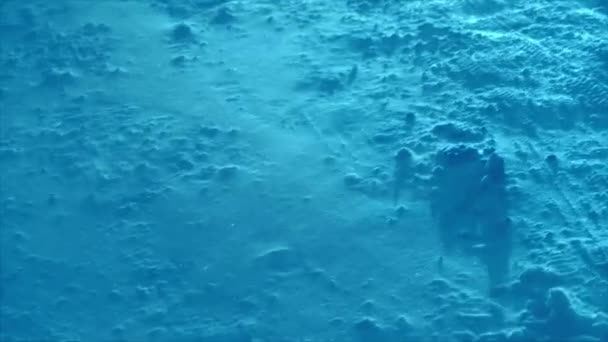 Tempesta Neve Superficie Invernale Blu — Video Stock