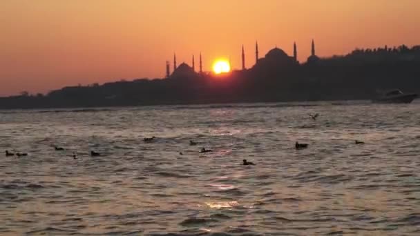 モスクと海鳥 イスタンブールの日没 — ストック動画