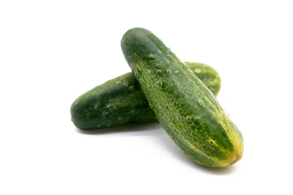 Cucumber White Background — Stock Photo, Image