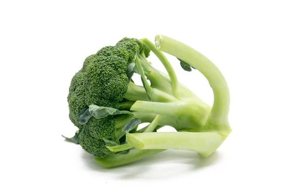 Een Enkele Broccoli Geïsoleerd Witte Achtergrond — Stockfoto