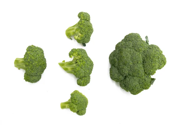 Broccoli Isolated Broccoli White Set Fresh Broccoli — Stock Photo, Image