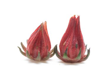 Taze Roselle meyvesi aynı zamanda beyaz arka planda izole edilmiş amfibik sabdariffa olarak da bilinir.