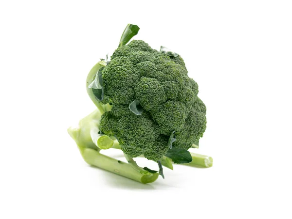Enkele Broccoli Geïsoleerd Witte Achtergrond — Stockfoto