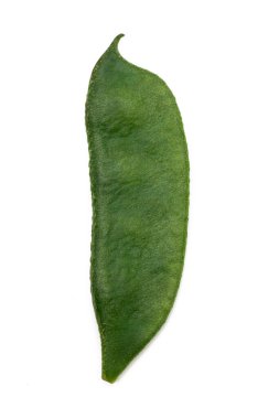 Beyaz arka planda yeşil Lima fasulyesi veya Hyacinth fasulyesi