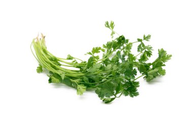 beyaz arkaplanda taze kişniş yaprakları