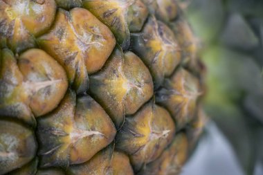 makro ananas derisi, çiğ ananas yakın plan.