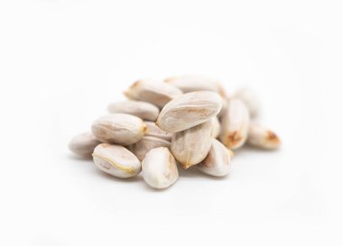 Artocarpus lacucha. Maymun meyvesi olarak da bilinir. Ya da maymun Jack tohumu..