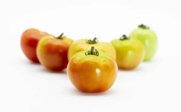 Fresh Tomatoes Different Types Tomatoes Row White Background Cliping Path — Stock Photo, Image
