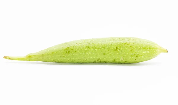 Whole Fresh Loofah Sponge Gourd Front View — Stock Photo, Image
