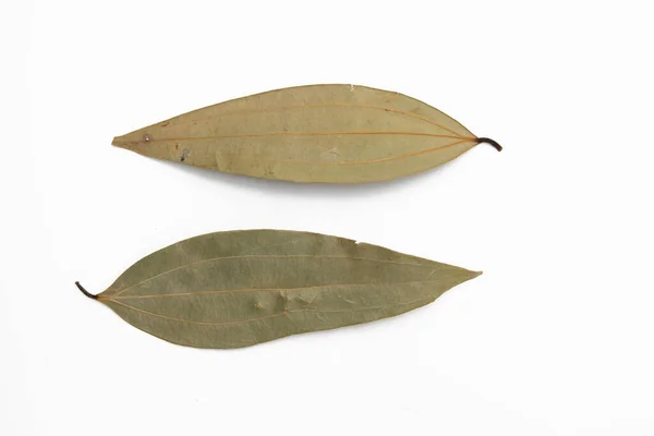 Dry Bay Leaves Isolated White Background — Stock Photo, Image