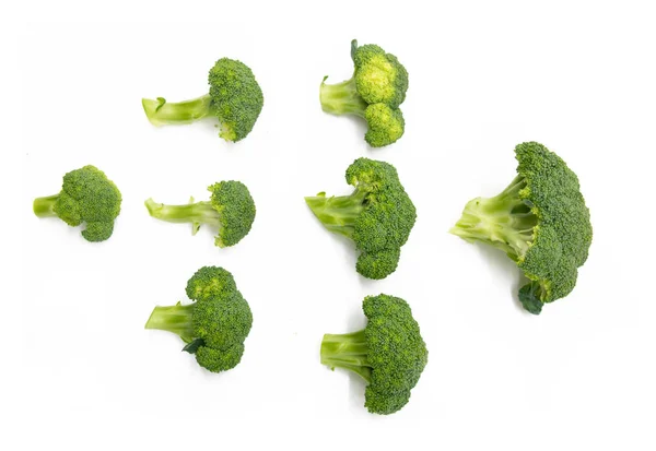 Beberapa Potongan Brokoli Terisolasi Dengan Latar Belakang Putih Tampilan Atas — Stok Foto