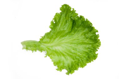 Beyaz arka planda taze marul yaprağı ya da salata yaprağı izole.