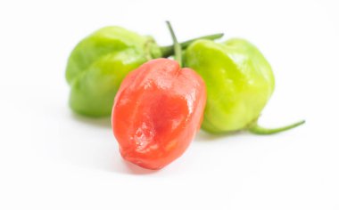 Kırmızı biber ya da Naga Morich ya da Naga chili beyaz üzerine izole edilmiş.