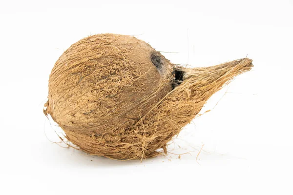 从白色背景分离出来的椰子 — 图库照片