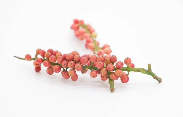 Berry Kecil Terisolasi Pada Cutout Different Cherry Putih — Stok Foto