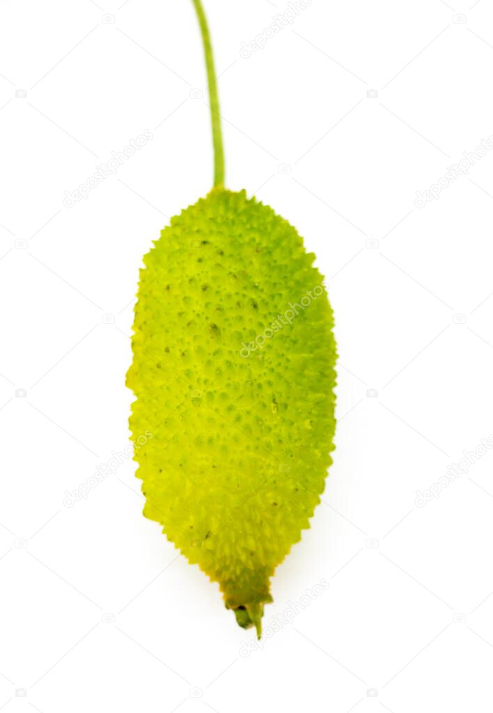 spiny gourd isolate on white background