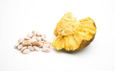 seçici odak, Artocarpus lacucha meyvesi ya da maymun meyvesi, ya da Maymun Jack ya da Barhar tohumu beyaz üzerinde izole