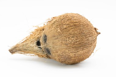 Beyaz arkaplanda tüm hindistan cevizi izole