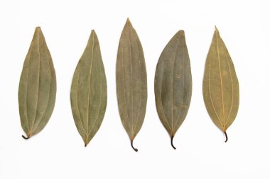 Kuru defne yaprakları beyaz arkaplan görünümünde izole edildi.