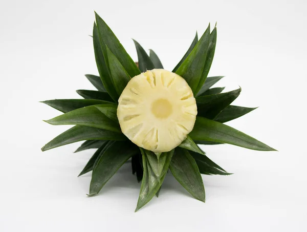 Pineapple Slices Isolated Clipping Path Healthy Nutrition Concept Healthy Food — Stock Photo, Image