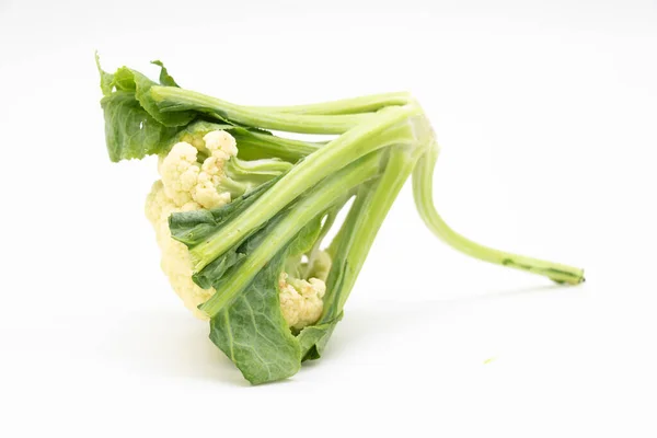Cauliflower Leaves Isolated White Background — Stock Photo, Image