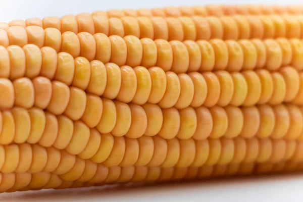 Boiled corncob, corn maize isolated on white background